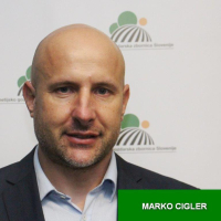 Marko Cigler