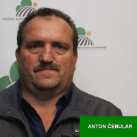 Anton Čebular