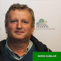 Boris Gumilar