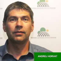 Andrej Horvat