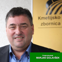 Podpredsednik KGZS Marjan Golavšek