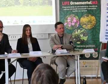 Prvi semafor invazivnosti: novo orodje za odgovorno izbiro okrasnih rastlin