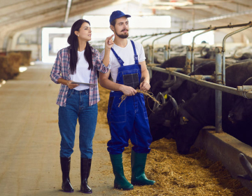 Ugodna razvojna posojila za mlade kmete - Agro FI