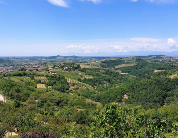 Goriška Brda so primer, kjer je KGZS - Zavod Nova gorica sodeloval v različnih projektih sodelovanja in povezovanja.  Foto: Polona Starc