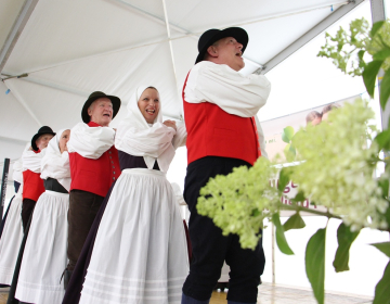 Folkloristi iz Grobelj pri Domžalah so že tradicionalni udeleženci kulturnega programa na srečanju.
