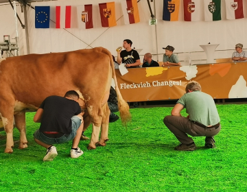 Uspeh slovenskih strokovnjakov s področja goved...