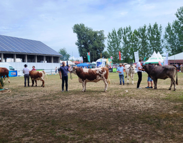 Dan govedorejcev na AGRI