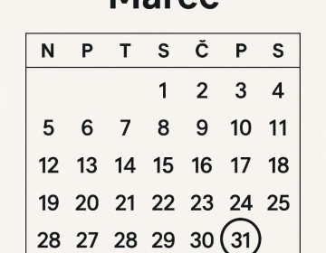 Do 31. marca je treba sporočili podatke o letnem dohodku