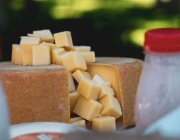 Za dober sir je treba marsikaj postoriti (Foto: Vida Habjanič)