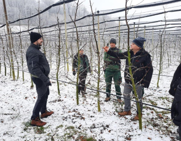 V začetku februarja se je začela zimska rez v triletnih nasadih jablan Bonita, demonstracija rezi je bila izvedena v Artičah med vztrajnim sneženjem.