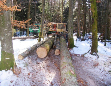 Do pavšalnega nadomestila so upravičene le tiste storitve, ki so bile opravljene v okviru strojnega krožka