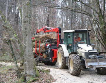 Foto Marjan Dolenšek