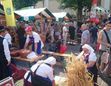 Podeželje v mestu Ljubljana, 2016