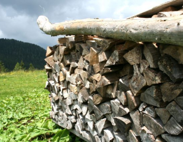 Les iz domačih gozdov pomeni za številna gospodinjstva na podeželju resnično energetsko neodvisnost in zaščito pred draginjo