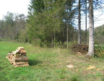 ZGS zbira pobude lastnikov gozdov za obnovo gozdnogospodarskih načrtov 2027