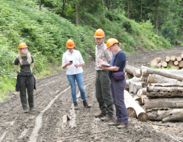 Pri dajanju lesa na trg (prodaji lesa) morajo vsi lastniki gozdov imeti vzpostavljen sistem potrebne skrbnosti.