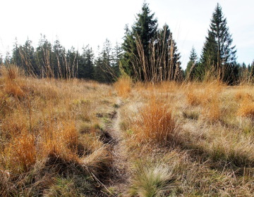 V obravnavi pomemben dokument za območja Natura...