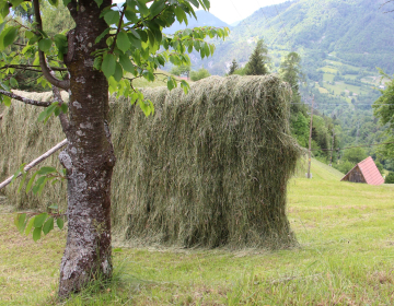 Odbor predlaga MKGP, da poišče vzvode, mehanizme in ukrepe, da mlade zadržijo na hribovskih kmetijah.