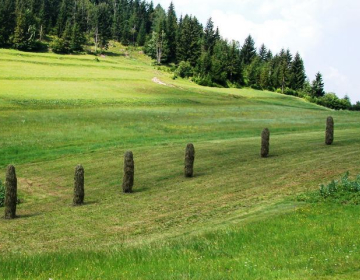 Pobude KGZS za večjo pridelavo hrane