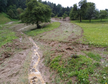 Zakonska pomoč za kmetijstvo