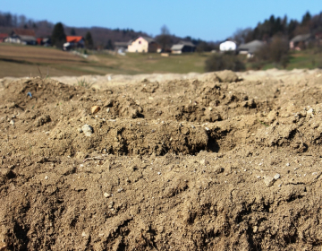 Vabilo na posvet: manj CO2 v zraku, več humusa...