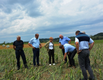 Na ogledu škode, ki jo je povzročilo neurje v okolici Ptuja. (Foto: MKGP)