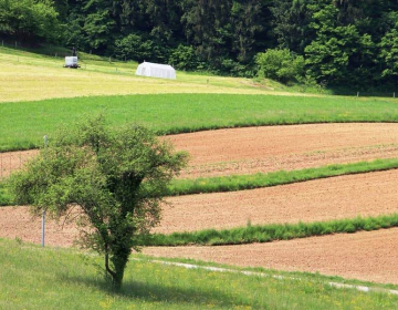 Predstavitev 4. javnega razpisa za podukrep 16....