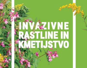 Na voljo je nova brošura o odstranjevanju o tujerodnih invazivnih rastlin