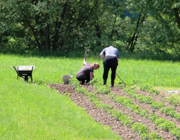 Solastnina in delitev solastnine.