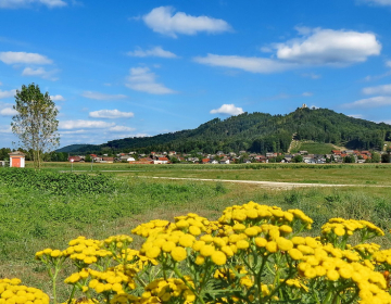 Razpisi za društva, zveze in združenja ter sind...