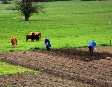 Kmetje morajo ostati zdravi, da bodo lahko oskrbeli prebivalstvo s hrano