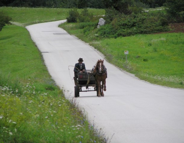 Kmetijstvo in omejitve