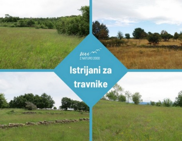 Istrijani za travnike