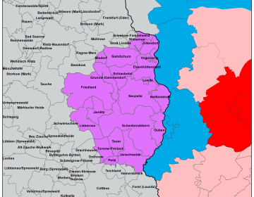 Okuženo žival so našli v zvezni deželi Brandenburg približno šest kilometrov od poljsko-nemške meje.