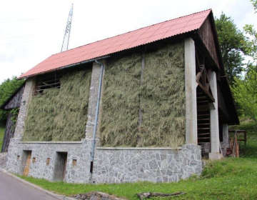 Kakšne rezultate reje je mogoče doseči brez silaže