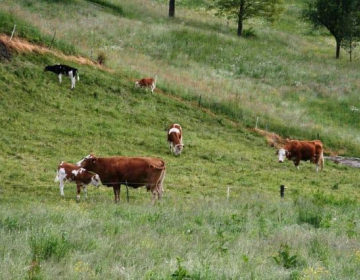 Povabilo k skupinskemu certificiranju za ZTP Seneno meso