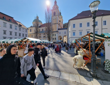 Ne smeš preveč pričakovati, potem je vedno dobro