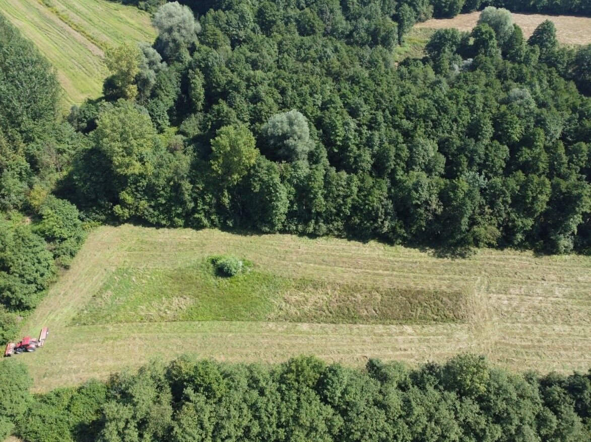 Posnetek iz zraka prikazuje puščen nepokošen rešilni otok za varovanje ptic, prednostno kosca (Crex crex). VIR: KGZS Zavod LJ