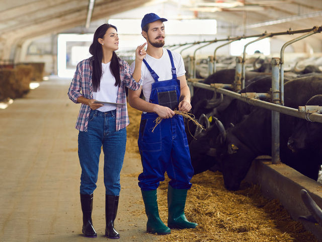 Ugodna razvojna posojila za mlade kmete - Agro FI