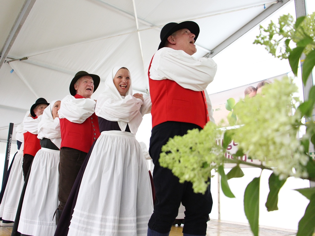 Folkloristi iz Grobelj pri Domžalah so že tradicionalni udeleženci kulturnega programa na srečanju.