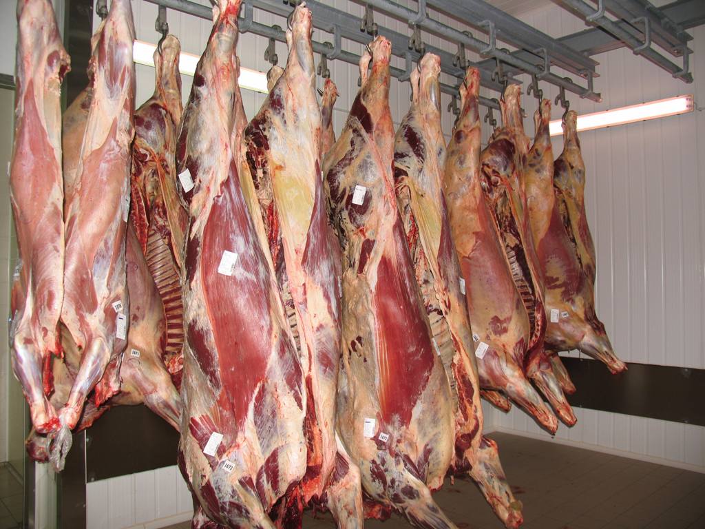 Prireja govejega mesa je zaradi neurejenih razmer na trgu v vse večjih težavah.