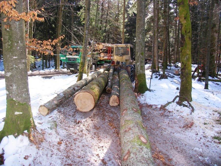 Do pavšalnega nadomestila so upravičene le tiste storitve, ki so bile opravljene v okviru strojnega krožka