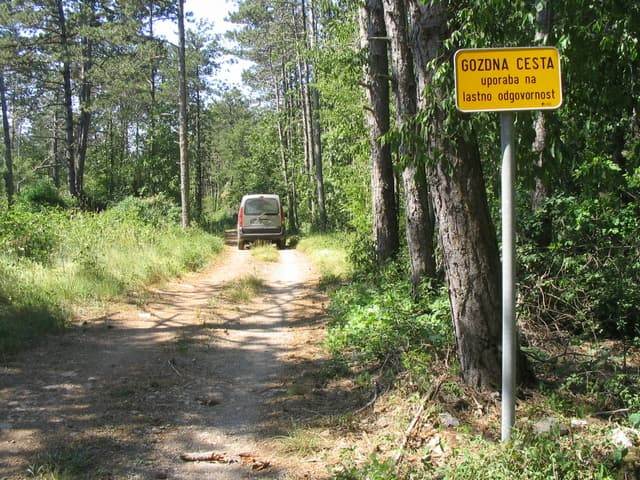 Nezadovoljni z zvišanjem prispevka za vzdrževanje gozdnih cest