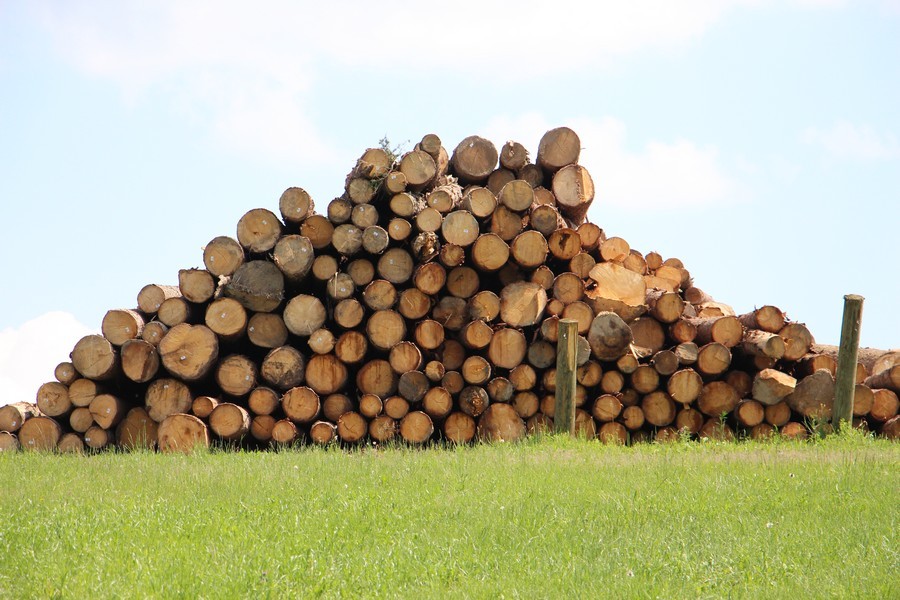 Naložbe v predindustrijsko predelavo lesa