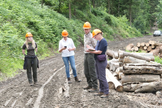 Pri dajanju lesa na trg (prodaji lesa) morajo vsi lastniki gozdov imeti vzpostavljen sistem potrebne skrbnosti.