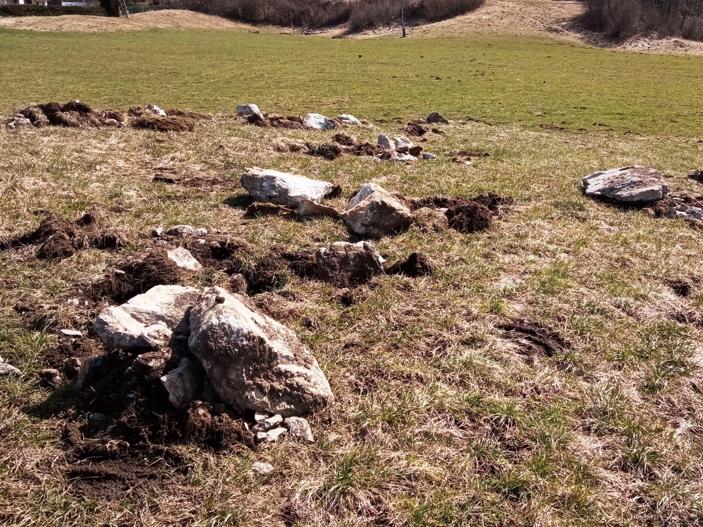 Odpravljanje zaraščanja se izvaja z agromelioracijskimi deli, kot so krčitev grmovja in dreves, izravnava zemljišča in odstranitev kamnitih osamelcev.