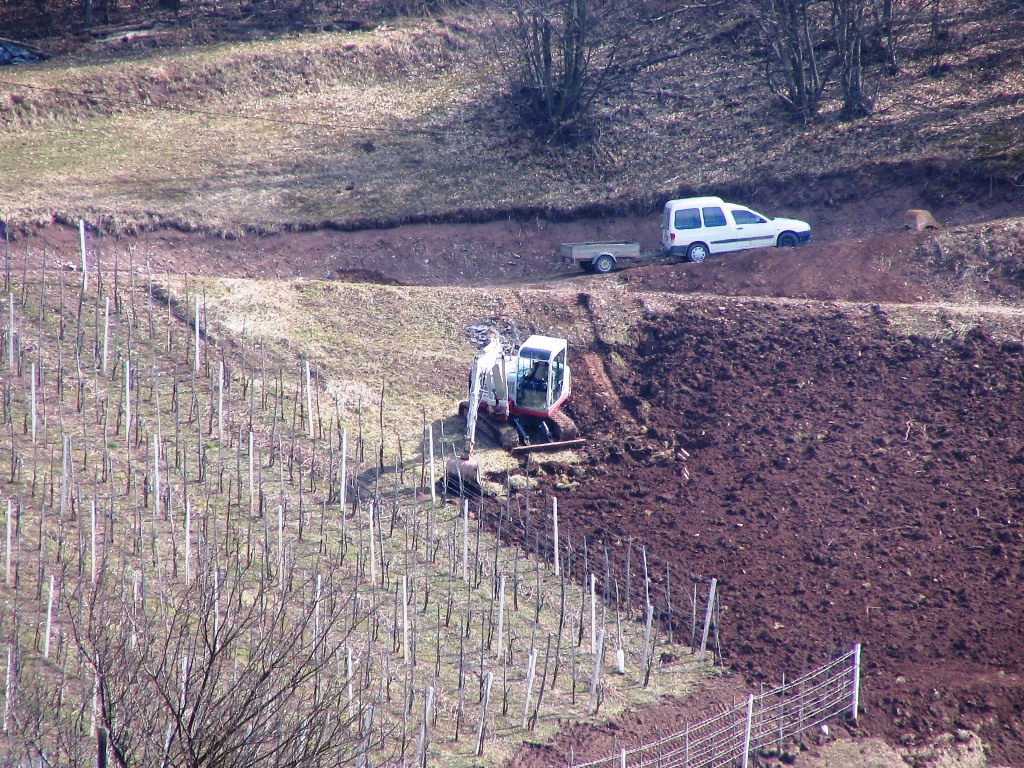 RAZPIS: trije milijoni evrov za naložbe v izvedbo agromelioracij na komasacijskih območjih