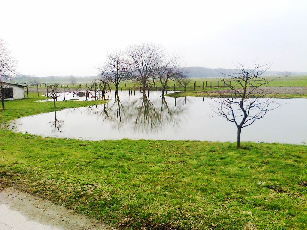 Poplave niso prizanesle tudi kmetijskim površinam