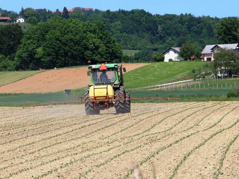 Rok za odprodajo in uporabo zalog FFS, ki vsebujejo AS S-metolaklor