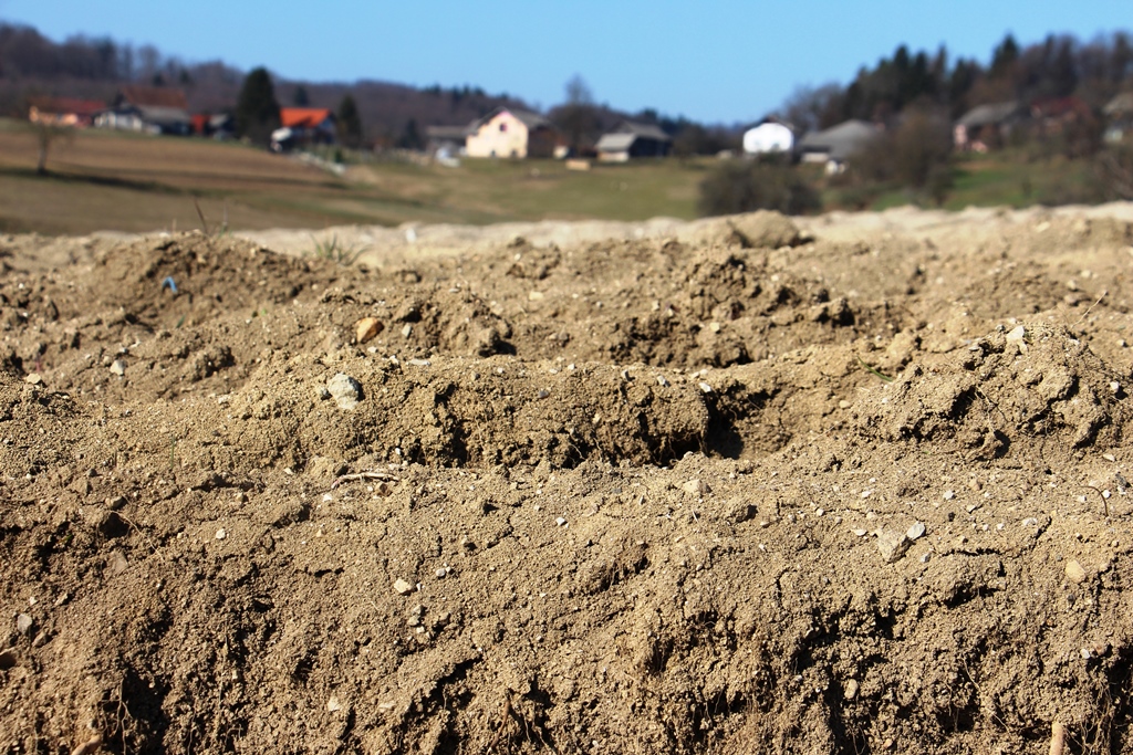 Posvet ob svetovnem dnevu tal - 5. decembru